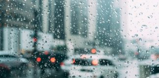 prognoza-meteo-ploaie-si-vant-puternic-in-bucuresti-luni-si-marti-acumulari-de-apa-de-pana-la-35-de-493476_e4856.jpg