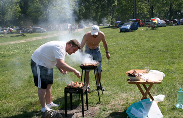 picnic_ed61e.jpg