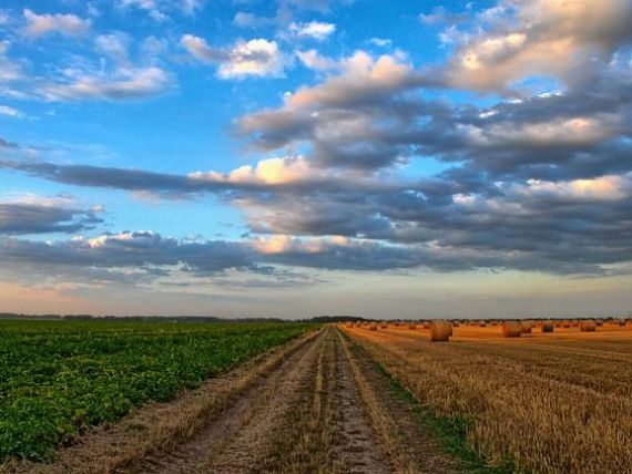 tarile-arabe-interesate-sa-cumpere-produse-agro-alimentare-din-romania-guvernul-vrea-sa-trimita-atasati_size9_1e9fd.jpg