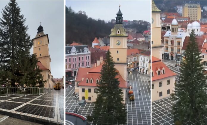 brad Crăciun Brașov brad Crăciun Brașov