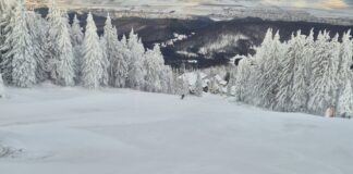 partie poiana brasov