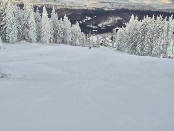 partie poiana brasov